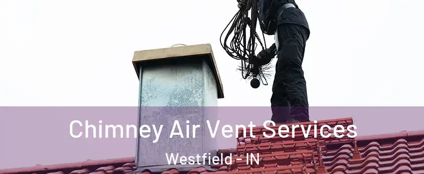 Chimney Air Vent Services Westfield - IN