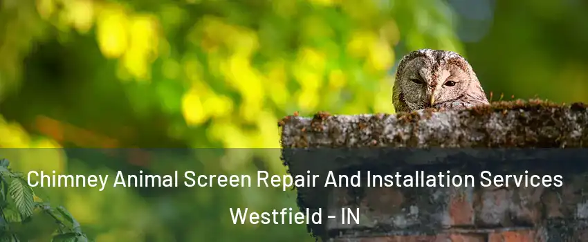  Chimney Animal Screen Repair And Installation Services Westfield - IN