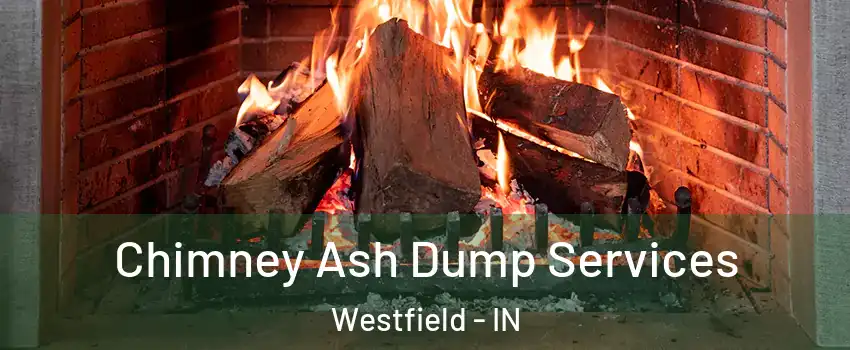  Chimney Ash Dump Services Westfield - IN