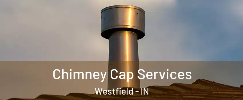  Chimney Cap Services Westfield - IN