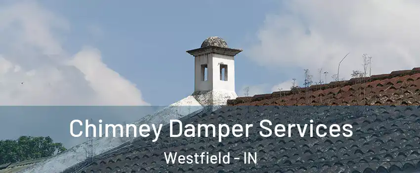  Chimney Damper Services Westfield - IN
