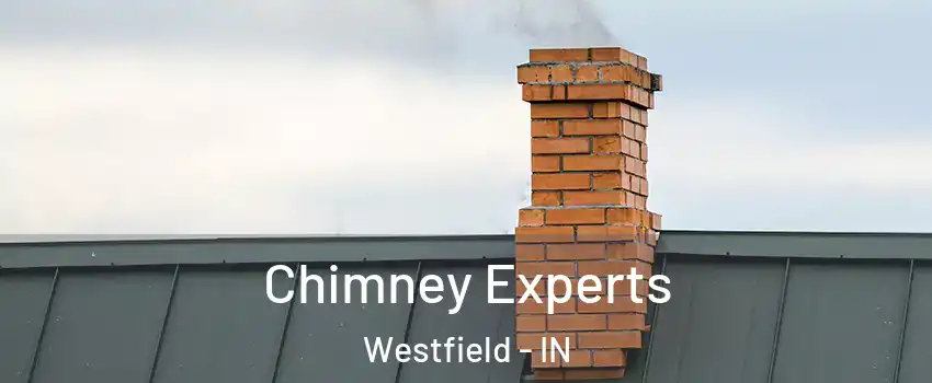 Chimney Experts Westfield - IN