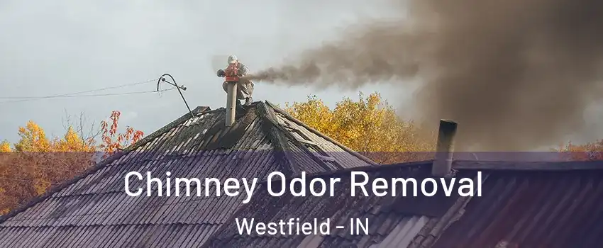  Chimney Odor Removal Westfield - IN