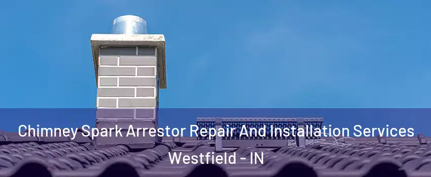  Chimney Spark Arrestor Repair And Installation Services Westfield - IN