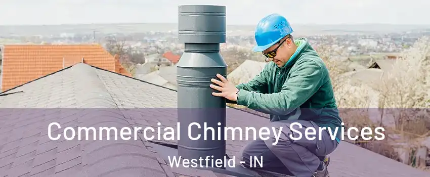  Commercial Chimney Services Westfield - IN