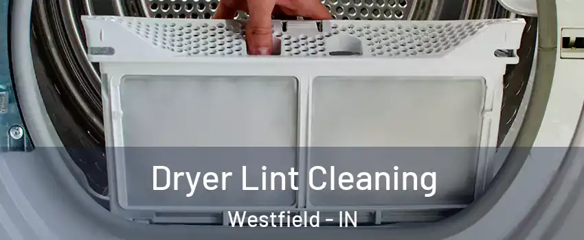  Dryer Lint Cleaning Westfield - IN