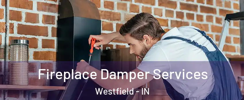  Fireplace Damper Services Westfield - IN