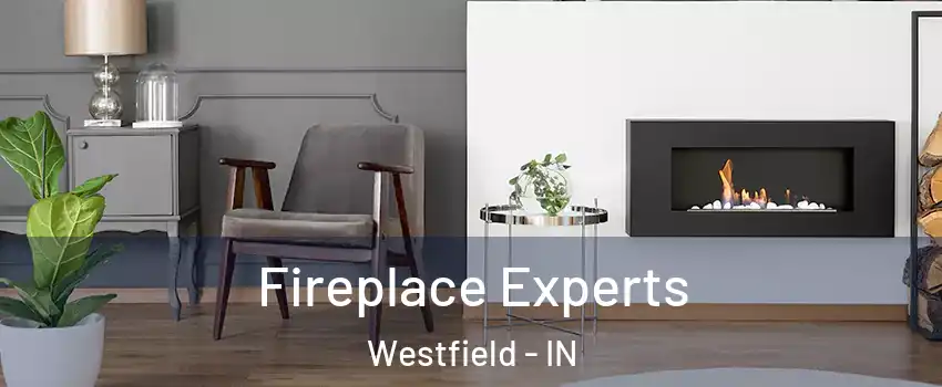  Fireplace Experts Westfield - IN