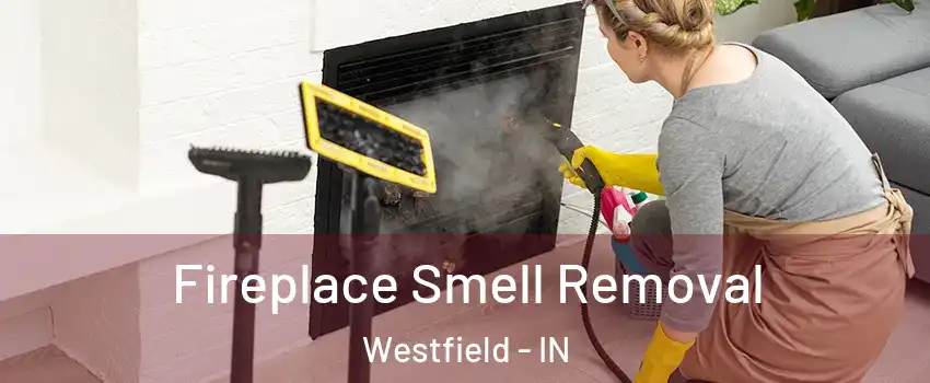  Fireplace Smell Removal Westfield - IN