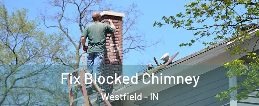  Fix Blocked Chimney Westfield - IN