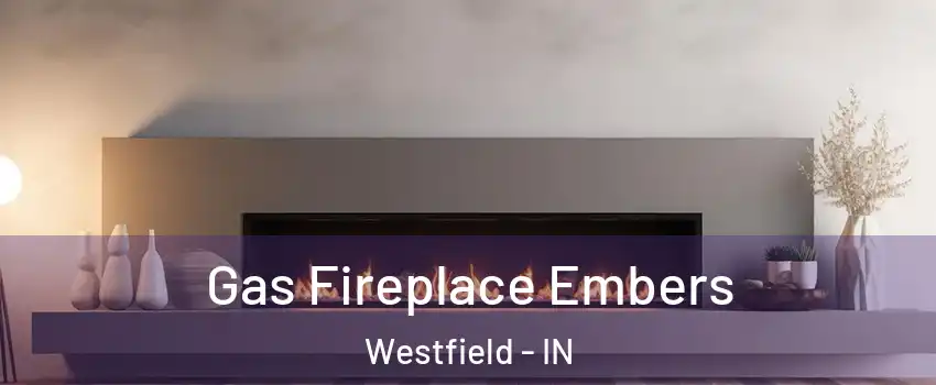  Gas Fireplace Embers Westfield - IN