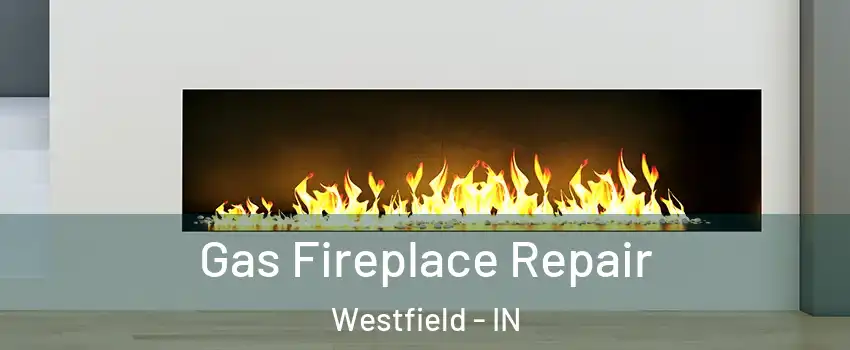  Gas Fireplace Repair Westfield - IN