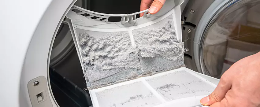 Best Dryer Lint Removal Company in Westfield, Indiana